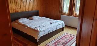 Гостевой дом Terra Nova Рынка Номер с кроватью размера «king-size»-3